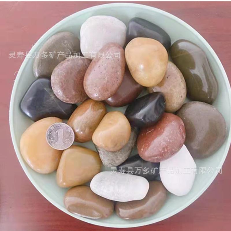 微信图片_20210913084006_副本