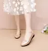 Sapatos Femininos Fechados Profissionais Atacado do Fabricante, Sapatos Femininos Rasos Fashion para Primavera e Outono, Sapatos Casuais Slip-On Respiráveis