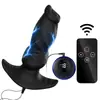 Novos produtos por atacado para adultos do fabricante: plug anal de choque elétrico bipolar, brinquedos sexuais, conjuntos masculinos e femininos, pulso de choque elétrico