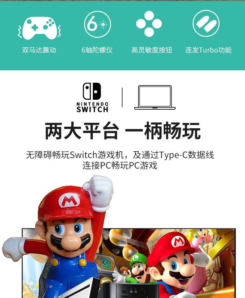 switch手柄02.jpg