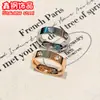 Anillo de Acero de Titanio con Zirconia de Seis Diamantes para Mujer, Diseño de Nicho, Anillo Sencillo, Lujo Ligero, Anillo de Pareja de Gama Alta, Anillo para el Dedo Índice
