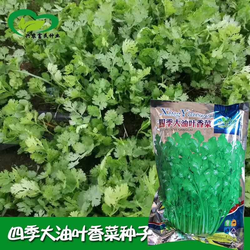 主图1-副本