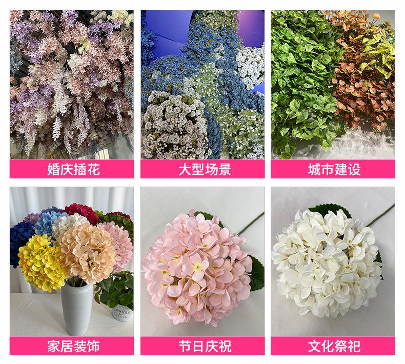 应用场景.jpg