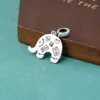 Nuevo Colgante de Elefante Auspicioso Sólido de Plata de Ley S925 Estilo Chino Colgante de Elefante Auspicioso Pulsera Collar DIY