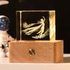 Luz Noturna Personalizada de Cristal para Presente de Novo Produto Transfronteiriço, Luminária de Cabeceira, Decoração de Mesa, Presente de Feriado para Mãe e Professor