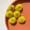 Decoração de Apresentação Flor Sashimi Estilismo Planta Fresca Restaurante Frutos do Mar Empratamento Prato Frio Shou