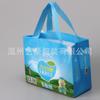 Marketing directo de fábrica bolsa no tejida recubierta color recubierto prensado en caliente bolsa integrada bolsa de regalo publicitaria para banco puede imprimir LOGOTIPO