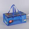 Bolsa de conservación fresca portátil de bayas rojas bolsa aislante lámina de aluminio engrosada tela no tejida bolsa de conservación fresca de frutas almacenamiento en frío lichi al por mayor
