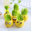 Planta en Maceta DIY con Expresión Sonriente, Manualidades de Muñeco de Hierba Larga, Decoraciones de Micro Paisaje, Plantas en Maceta, Fáciles de Cuidar y Mantener