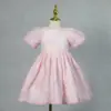 Nuevo Vestido de Princesa para Niña con Flores de Rosa de Encaje 3D para Primer Cumpleaños Anfitrión/Intérprete Ropa de Actuación de Lote Pequeño En Stock