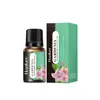 Comércio Exterior Transfronteiriço Britânico Aromaterapia Óleo Essencial Fragrância de Longa Duração Doméstico Solúvel em Água Umidificador Aromaterapia Sem Fogo Fábrica Atacado