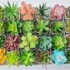 Suculenta Artificial Cabeça de Flor de Suculenta Artificial Bonsai Artificial Acessórios DIY Fabricante Conjunto de Cabeças de Flor de Suculenta Cor Personalizada