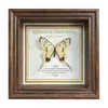 Marco de Fotos con Foto de Mariposa Real Pintura Decorativa Estilo Europeo Marco de Fotos Vintage Decoración de Mesa Adorno para Muebles Regalo de Cumpleaños Presente