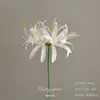 Flores Artificiais Brancas para Decoração de Casamento, Flores de Seda, Ornamentos de Flores Artificiais, Arte Floral Seca, Materiais de Rosa, Arranjo de Flores para Corredor, Arranjo de Parede e Chão