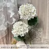 Flores Artificiales de Hortensia de 2 Cabezas para Boda, Flores Artificiales de Seda de Alta Gama, Adornos Terminados, Flores Decorativas para Sala de Estar al por Mayor