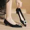 Tacones Altos con Hebilla Cuadrada de Pedrería para Mujer Tacón Delgado 2026 Nueva Moda Primavera Negro Elegante Profesional Punta Fina Francés Tacón Bajo
