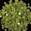 Barroco Perolado Árvore Flor Borboleta Misto Saco da Sorte Feito à Mão DIY Creme Epóxi Capa de Celular Acessórios de Joalheria