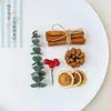 Virutas de Madera Cáscara de Nuez Material Planta Taibao Especimen Piña de Pino Paquete de Materiales de Flores Secas DIY Chen Mai Hecho a Mano Bellota Seca Marco de Fotos