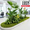 Plantas Verdes Simuladas para Paisagismo, Decoração de Espaços de Hotel e Shopping, Vitrines, Plantas Artificiais, Árvores Artificiais, Ornamentos de Paisagismo
