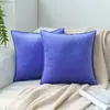 Directo de fábrica terciopelo simple color sólido almohada funda de almohada almohada de cama cojín de borde para sofá dormitorio