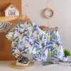 Conjunto de Camisa Estampado Hawaiano para Niños de Verano Conjunto de Dos Piezas de Camisa de Manga Corta y Shorts para Niños Venta al por Mayor Directa de Fábrica
