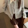 Jaqueta Estilo Chanel Vintage Retro Primavera e Outono Gola Polo 2025 Nova Jaqueta Curta Top Elegante Curto de Tweed Europeu e Americano