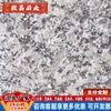 Lápidas de Piedra en Stock para Entrega Directa, Lápidas de Bluestone Pulidas a la Llama, Piedras para Pavimentar de Granito Sésamo Gris, Sésamo Blanco, Sésamo Negro