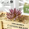 Suculentas Lótus Branco Suprimentos Criativos DIY Plantas Artificiais Vendas Diretas da Fábrica Jinhua Flores Artificiais Transfronteiriças