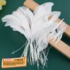 Suministro Directo de la Fábrica de Origen: Plumas de Pavo Blancas al por Mayor, Accesorios para Ropa, Atrapasueños, Juguetes para Gatos y Artículos Decorativos
