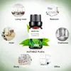 Difusor de piedra para aceite esencial de naranja dulce soluble en aceite transfronterizo Difusor Máquina de aromaterapia de madera Aceite Aromaterapia Aceite esencial Suplemento