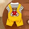 Roupas para cães Outono Grosso lã-forrado Corgi Roupas Teddy Bomei Pequeno Cão Gato Roupas para animais de estimação Atacado