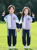 Uniformes de Jardín de Infancia, Uniformes de Primaria para Primavera y Otoño, Uniformes de Graduación, Ropa Deportiva Azul y Morada, Uniformes de Clase para Niños, Conjunto de Uniformes de Béisbol