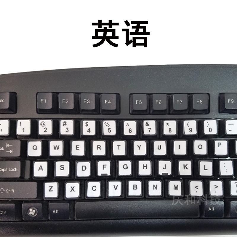 英语主-2.jpg