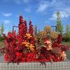 Flores Artificiais de Casamento Arranjo de Orquídea Chidori Guia de Corredor de Flores Palco T Arte Floral Série Vermelho Champagne Vela de Palco