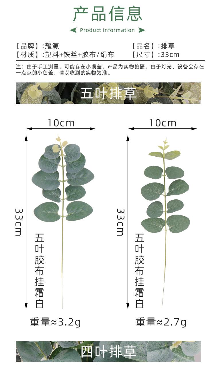 耀源四叶排草详情页_02.jpg