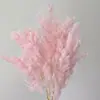 Venta al por mayor de Flores de Pino Inmortalizadas para Flores Secas Transfronterizas, Productos Florales DIY, Ramos, Decoración del Hogar, Arreglos Florales con Flores Reales, Yunnan
