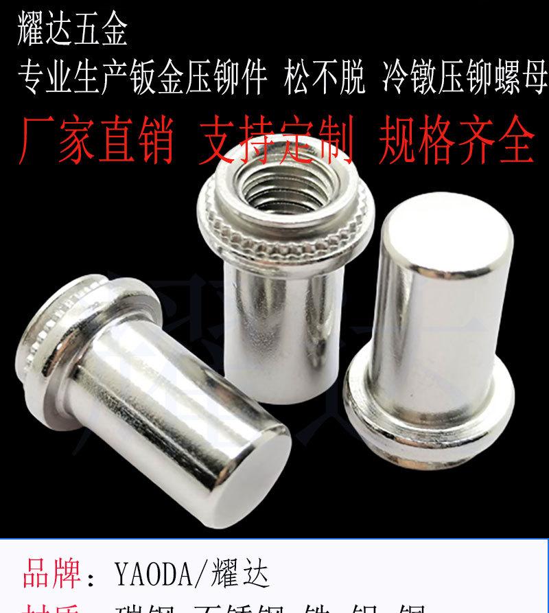 不锈钢BS防水压铆螺柱_01
