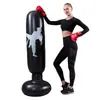 Novo saco de pancadas inflável infantil de desenho animado transfronteiriço, equipamento de boxe para alívio de estresse para uso doméstico, coluna de boxe inflável de PVC