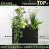 Caja de flores decoración flores y plantas arreglo floral producto terminado adorno de planta verde venta de restaurante oficina mampara canaleta de flores paisajismo biónico