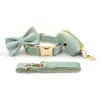 Conjunto Especial de Coleira e Guia de Veludo Cisne para Cachorro Suporte para Saquinhos de Cocô para Cães Pequenos e Médios