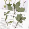 Tallos de Rosa, Muestras de Hojas de Plantas con Flores Prensadas, Fundas para Teléfono de Resina, Marcadores de Libros Educativos para Niños, Materiales para Manualidades DIY