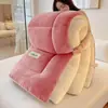 Colcha de lana de cordero, colcha de invierno gruesa, colcha cálida de algodón de terciopelo de leche, forro polar por ambos lados, adecuada para camas individuales o dobles, para primavera, otoño e invierno, con núcleo de forro polar