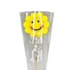 Bolsa Transparente Sacola de Presente Dia do Professor Bolsa Individual Material de Embalagem para Buquê de Rosas Flores Embalagem Triângulo Dourado