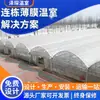 Fabricantes Producen y Diseñan Invernaderos Integrados para Agricultura Ecológica y Siembra, y Suministran Directamente Estructuras de Invernadero