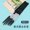 Estuche de Plumas de Acuarela Cisne Negro Pelo de Nylon Pluma Gouache Pluma para Pintura al Óleo Digital Pluma Mopa de Pelo Suave Pluma de Punta de Pelo Animal