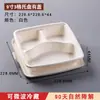 Caixa de embalagem descartável para viagem totalmente biodegradável de polpa de cana-de-açúcar, marmita multicompartimento com tampa, bandeja de compartimentos para micro-ondas e geladeira