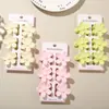 Venta Caliente Transfronteriza 3.5cm Dopamina Set Sencillo de Pinzas para el Cabello Pinzas Pequeñas de Garra para Mujeres Set de Seis Piezas de Pasadores Accesorios para el Cabello