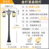 Iluminação pública solar, jardim, vila, comunidade, pátio de cabeça dupla, 3 m, estilo chinês, à prova d'água, quintal, poste alto, luz