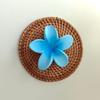Diseño de Nicho Europeo y Americano Clip para la Parte Posterior de la Cabeza con Flor de Bauhinia Verano Horquilla con Flor de Huevo Elegante Clip de Tiburón Accesorios para el Cabello para Mujeres