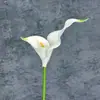 Flores Artificiais Eva Lírios Calla de Pétalas Duplas Decoração de Casa Hotel Arranjo de Cena de Casamento Enfeites de Flores Artificiais Transfronteiriços Venda por Atacado